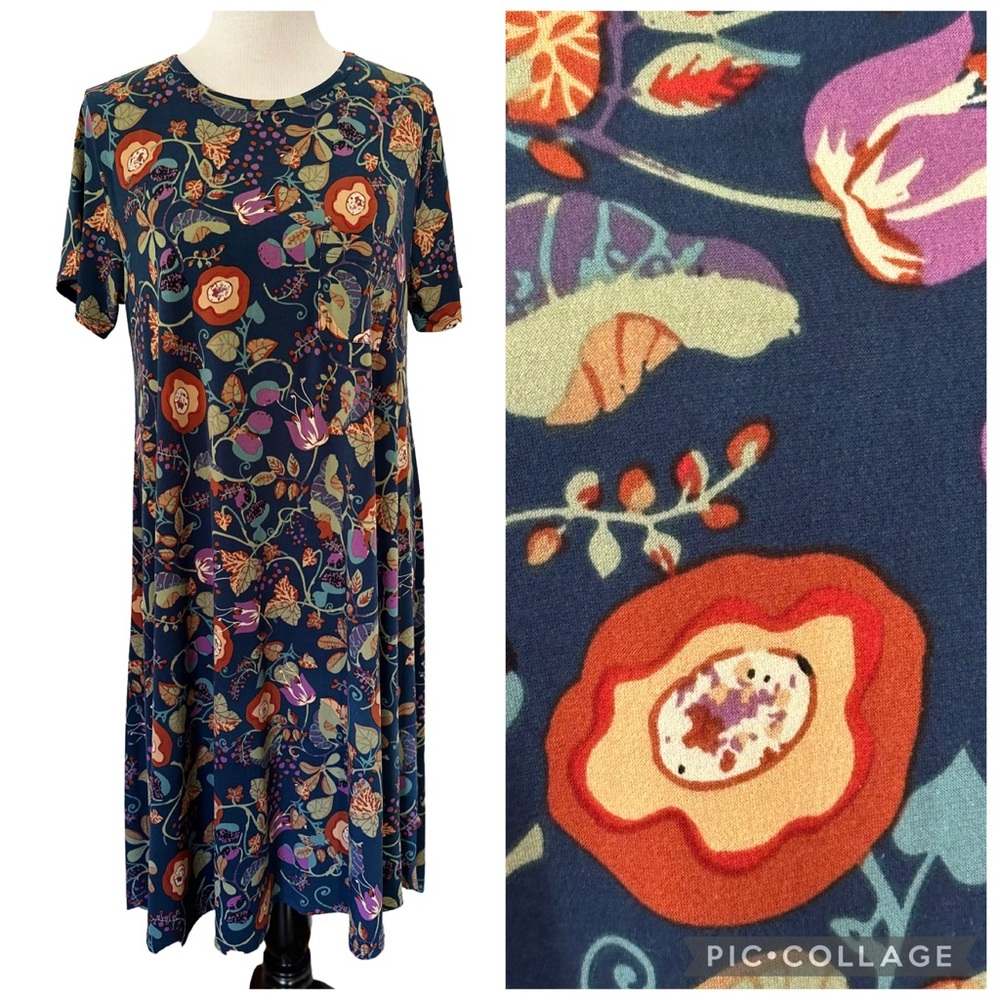 LuLaRoe SLINKY Fall Carly Dress Sz M